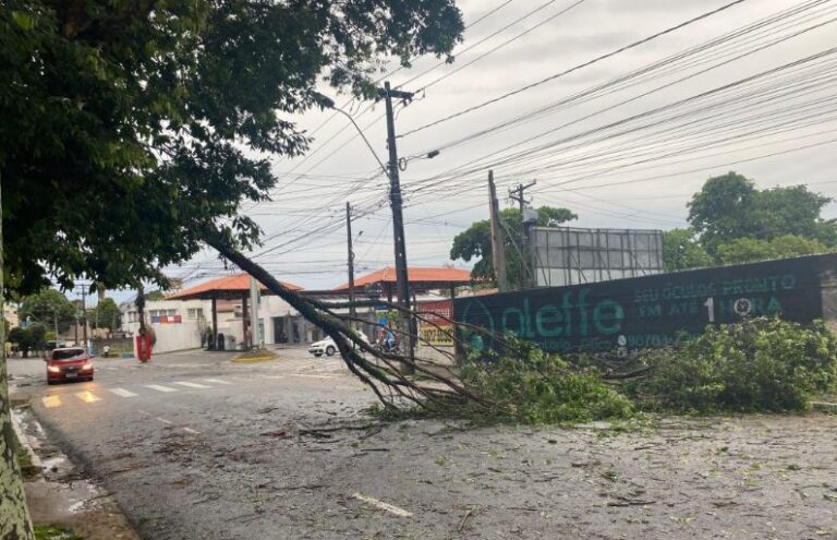 Imagem: Thyago Lúcio / Sistema Arapuan de Comunicação.